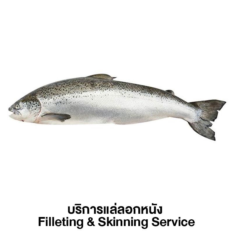 Fresh Salmon Filleting & Skinning Service 1 pc (approx. 4-5 kg/pc)