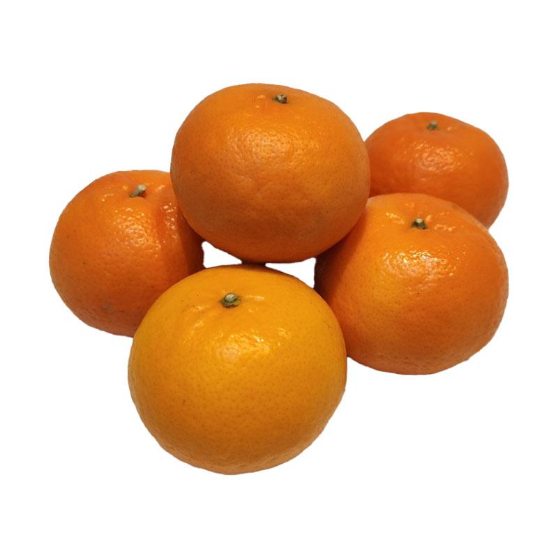 Taiwanese Variety Orange