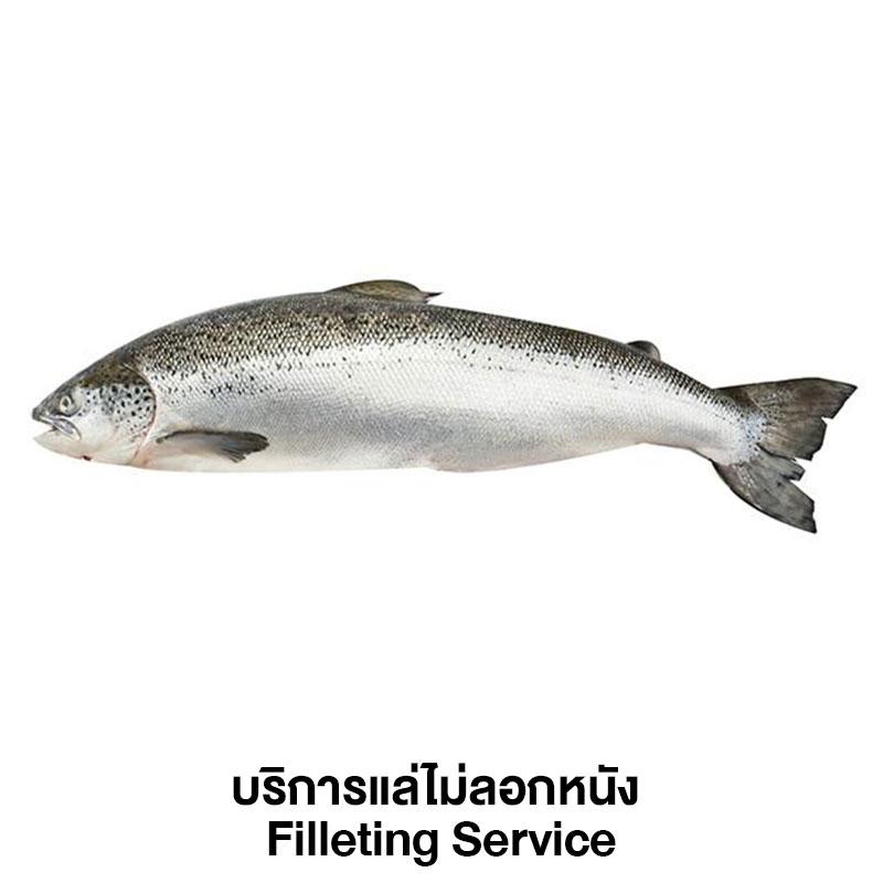Fresh Salmon Filleting Service 1 pc (approx. 4-5 kg/pc)